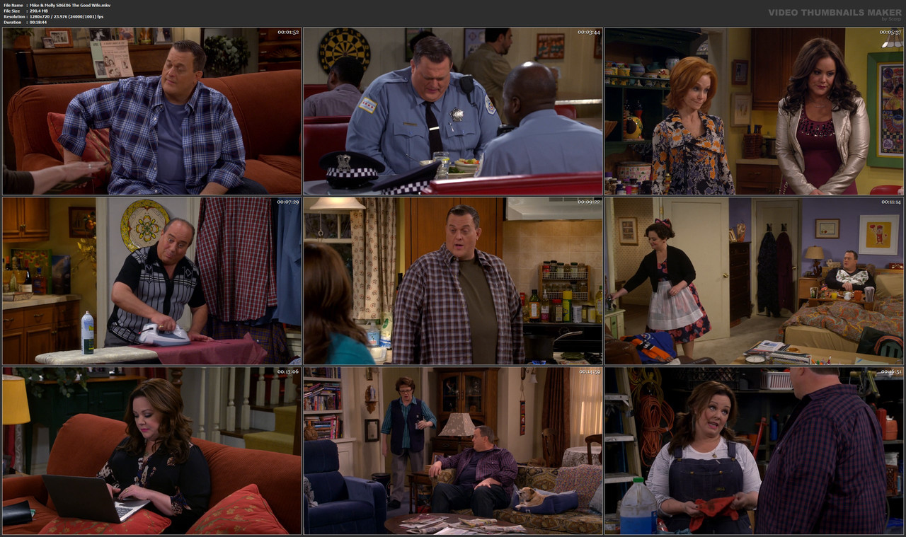 Mike & Molly S06E06 The Good Wife.mkv
