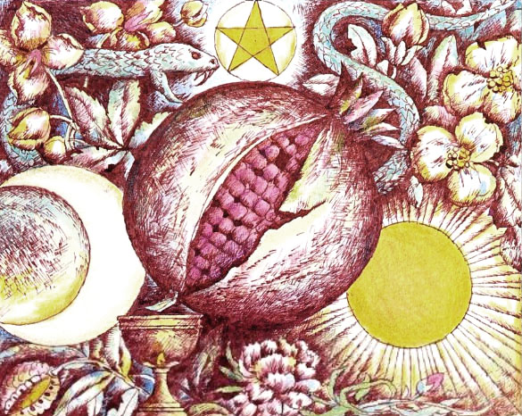 02-6