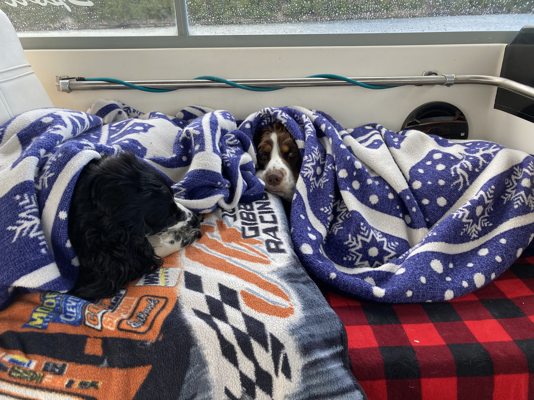 1D0DBDEB-6474-46B2-9DE9-A997EF44A0B0