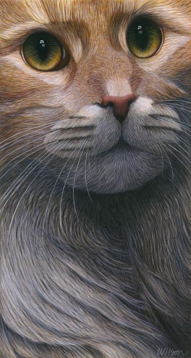 33-cropped-cat-4-carol-wilson-002