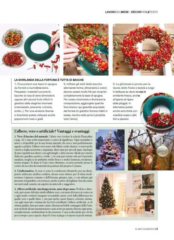 Il Mio Giar Dic 2025 Gen 2026 (10)