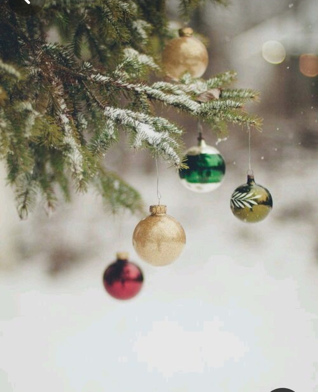 Screenshot_20231123_221614_Pinterest