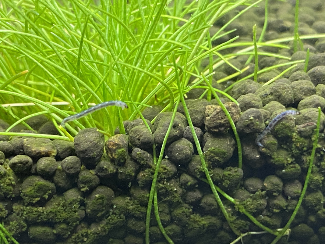 76FF3986-0C3E-4EDE-9BF4-2D7817EBF27D