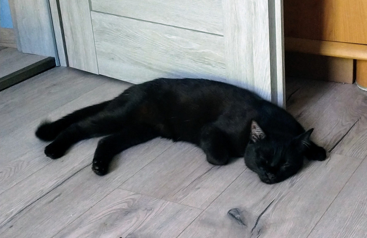 IMG_20250721_104130666~3