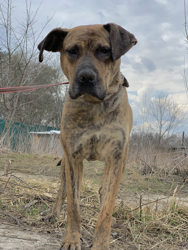 image-09-04-23-05-34-19 (1)