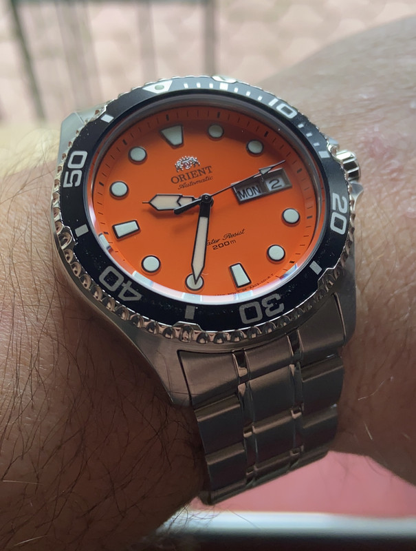 4964E5B1-28F8-4F85-BC6E-EDB110ED6BF4