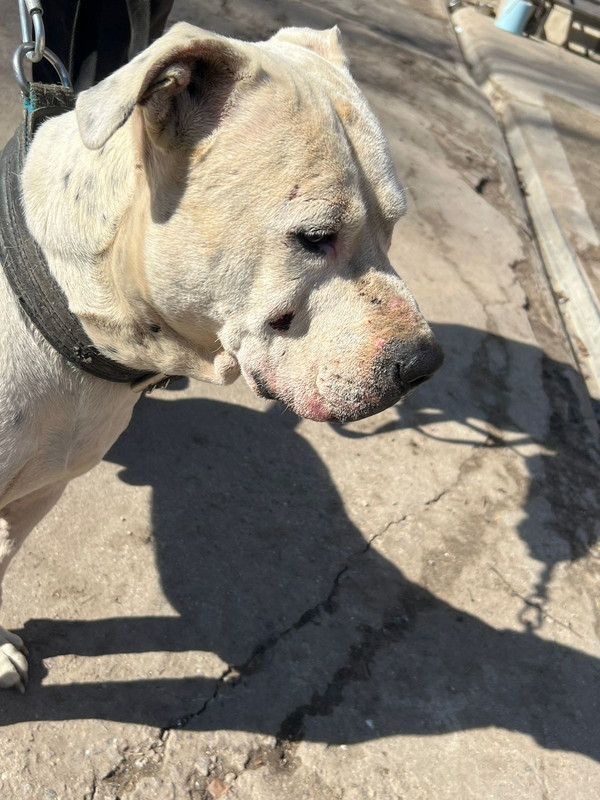 WhatsApp Image 2024-04-05 at 13.29.29 (2)