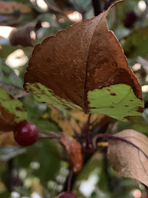 AAE3E6BD-5ED7-4210-AEC0-B1B8E1358381