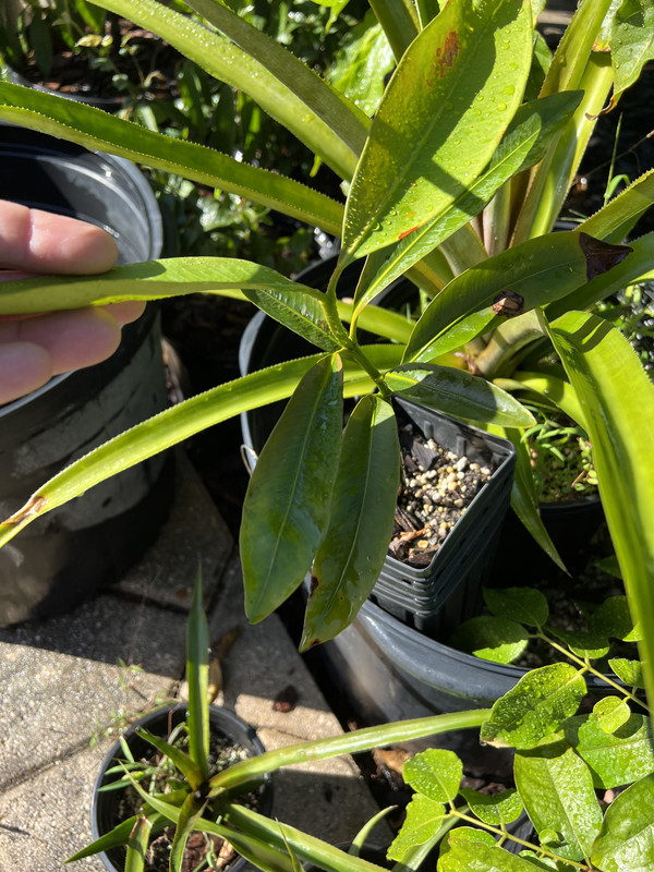 B0CD01DF-F915-4B9B-9B22-777E9AAA87F2