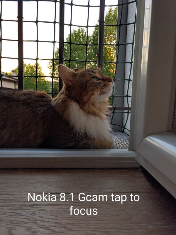 IMG_MIX2S_20200503_200751~2_resize