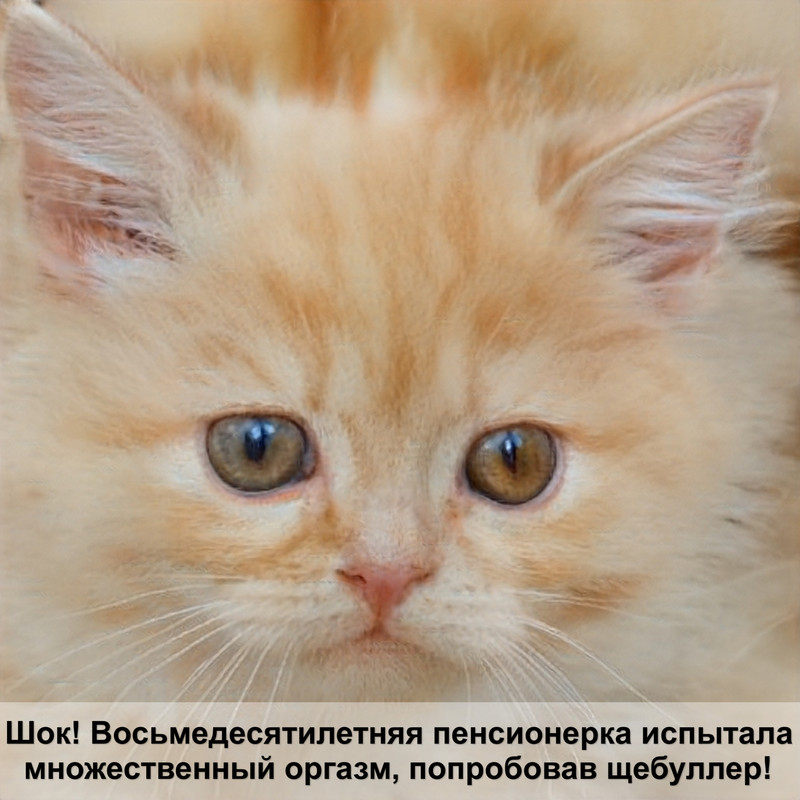 хвост кота без шерсти