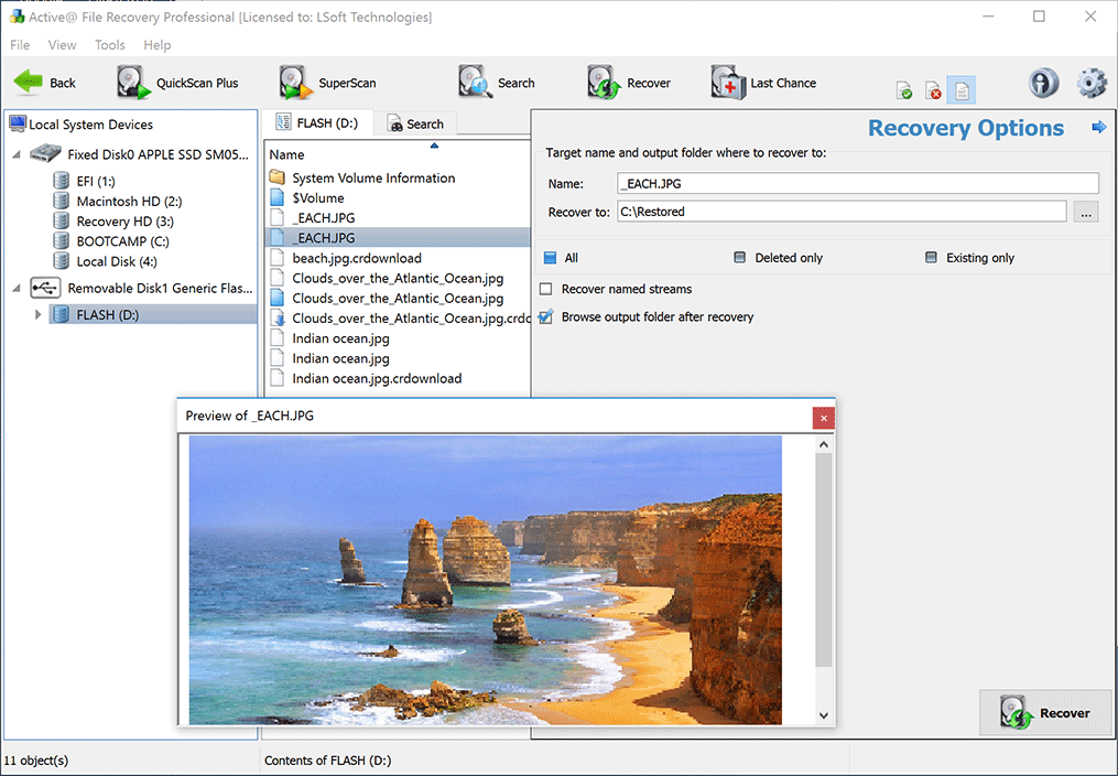 data-recovery-dialog-big.gif