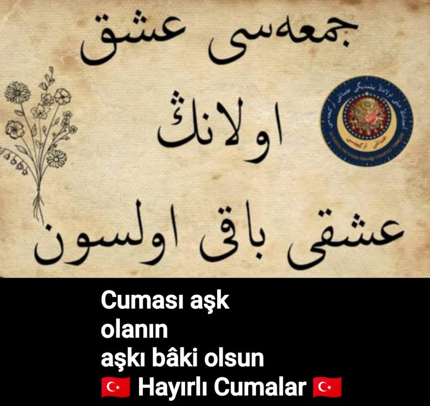 IMG 20251107 WA0001