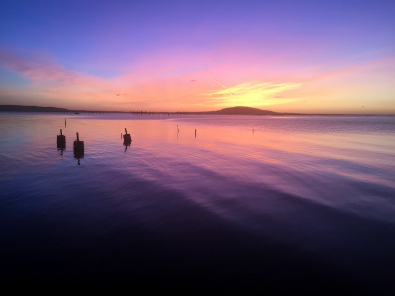 [Image: IMG-0760.jpg]