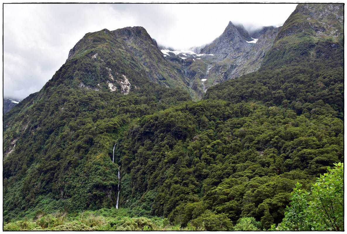 Fiordland NP: Milford Track (enero 2023) - Escapadas y rutas por la Nueva Zelanda menos conocida (21)