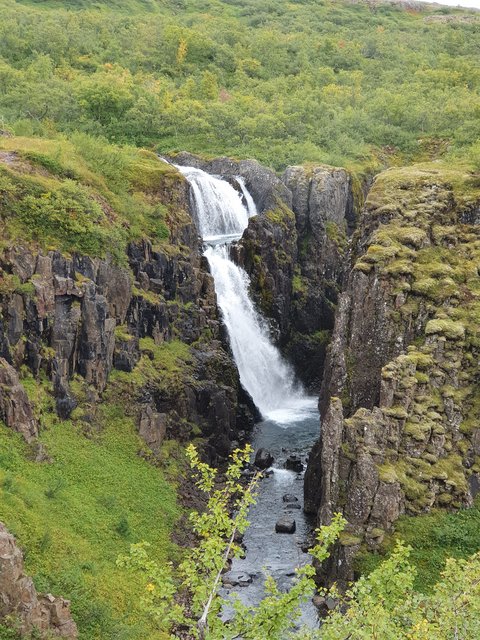 DIA 11: HVERIR A SEYDISFJÖRDUR - Islandia en tiempos de Covid. Y con Camper! (13)