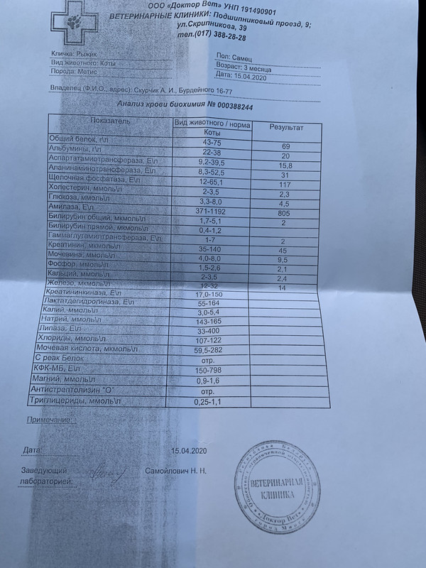 BFC46118-2AFC-4D7C-ACB5-9B9B99324A09
