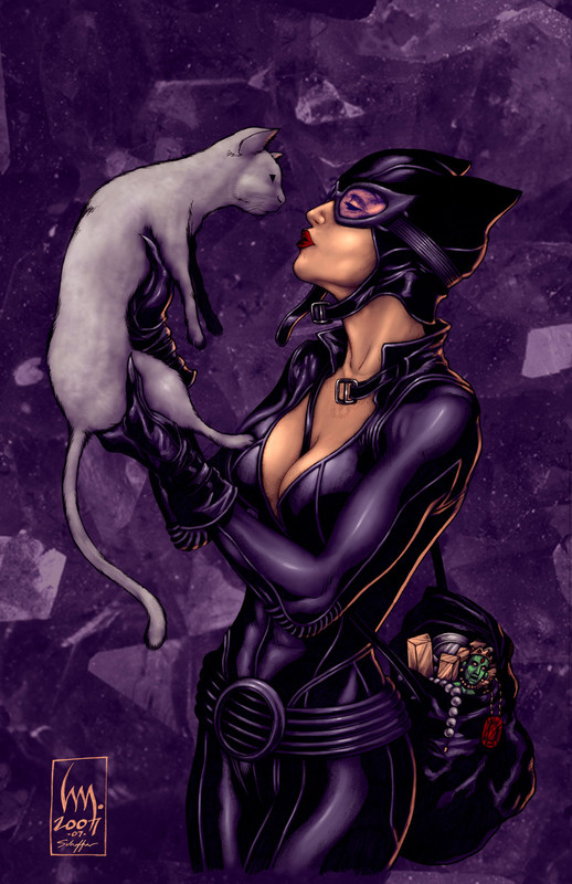 http://lenscanvas.com/wp-content/uploads/2012/08/Catwoman_by_Wrathofkhan_by_northchavis.jpg