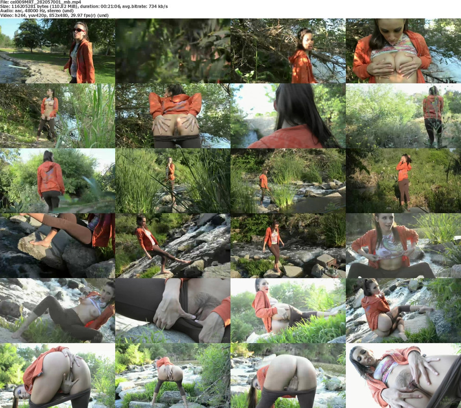 13112024195408screenshot