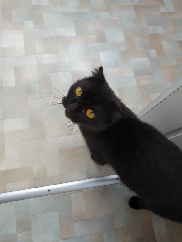 155FD6AE-7F1A-4B1F-8F81-A1C2AA0D6275