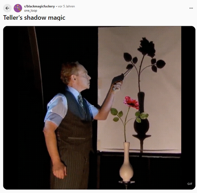 Magier-Trick mit Blume und Schatten