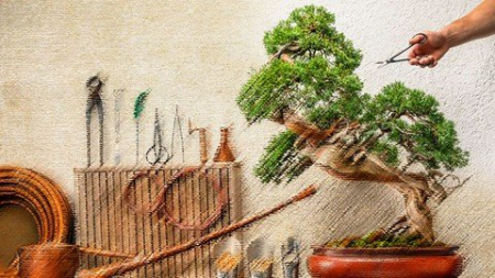 Bonsai for Beginners 2021