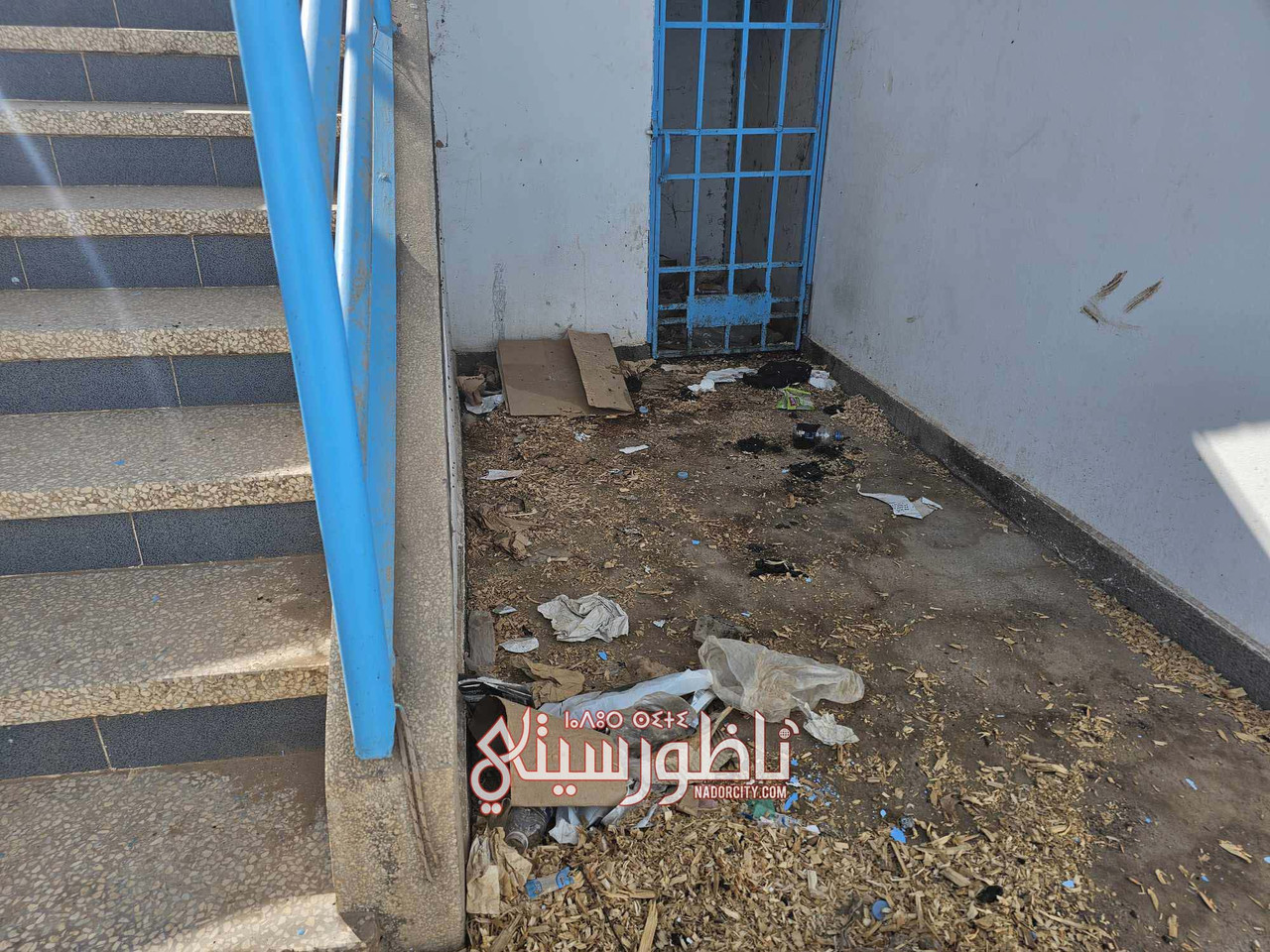 576961938-844320751348135-4346586586815066263-n