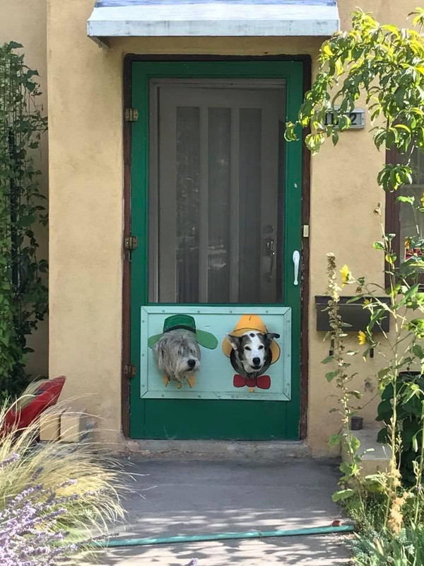 (JPEG Image, 720?×?960 pixels)