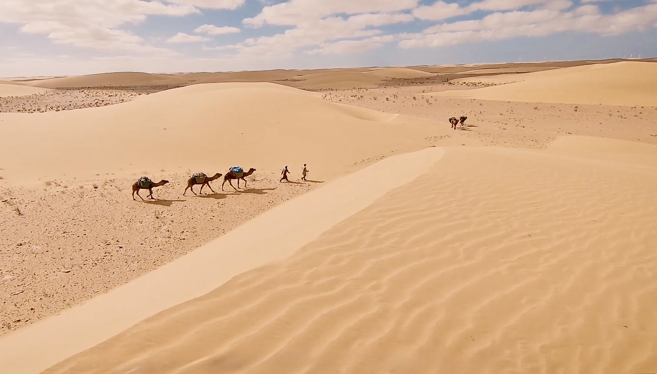 Caravana en el desierto