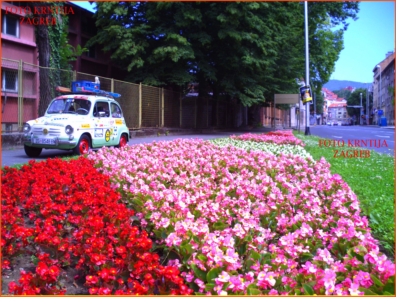 PICT0241