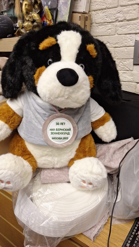 52d2ba6c-3caf-4ab4-82fc-ef6227274556