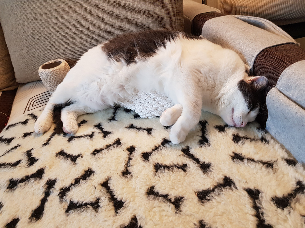 20190316-145105.jpg
