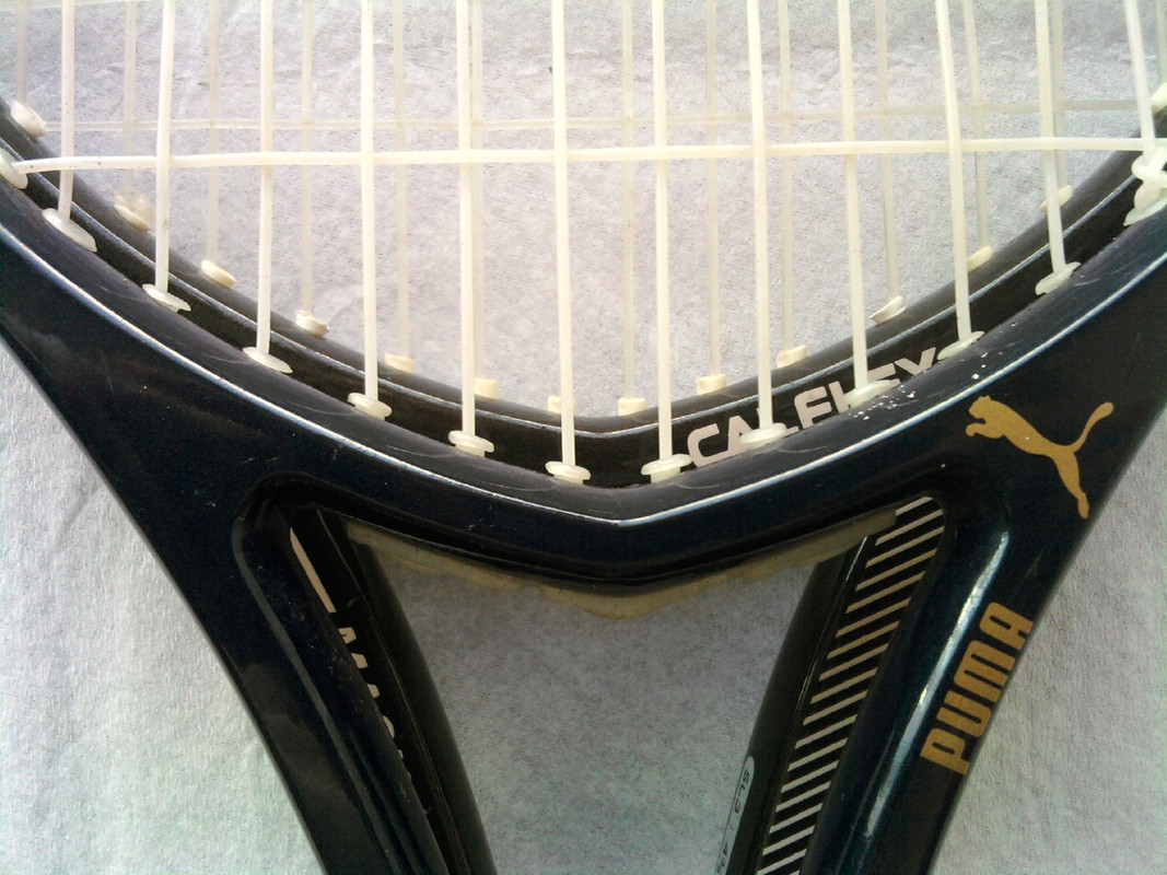 Photo079.jpg