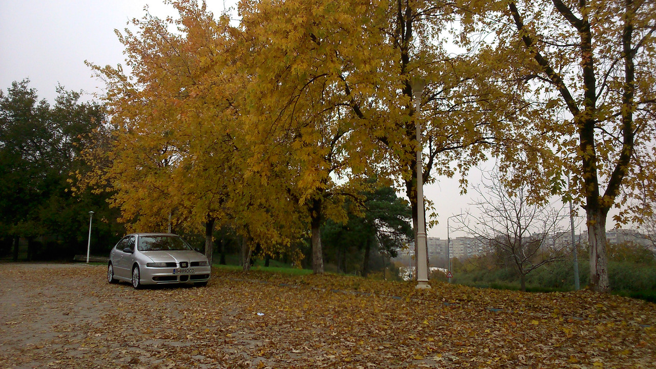 DSC_0053