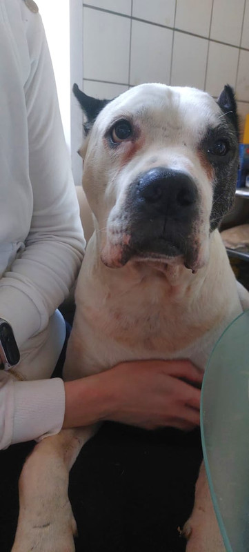 4B33C934-32C6-4926-99E2-1A6ADB5C0344