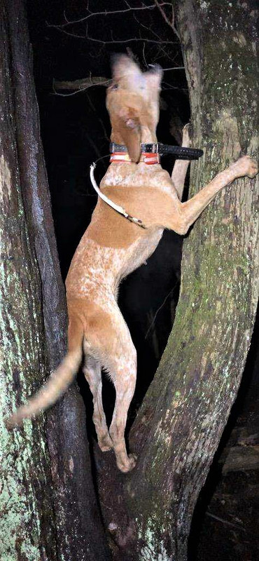 Resized_Resized_IMG_4596 (1)