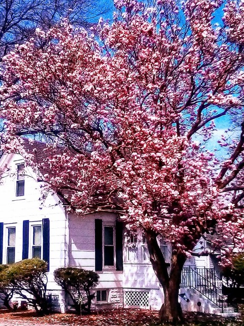 91979569_119780346332136_6308648569402294272_n (1)