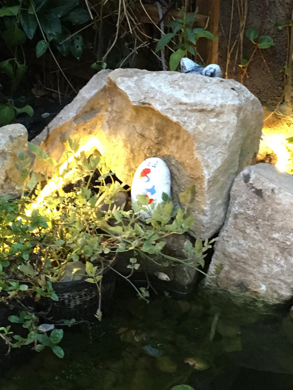 37884225_10156464404252457_895015019199070208_o