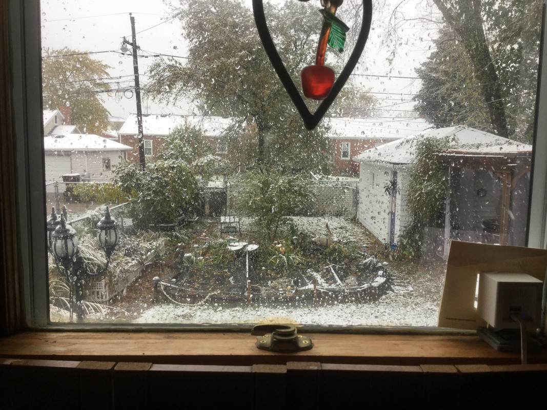 D1ABB538-7854-4102-99EE-44CD088825CC