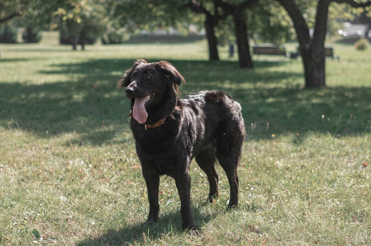 09A00CFC-356E-442A-9B0B-850F1862887D