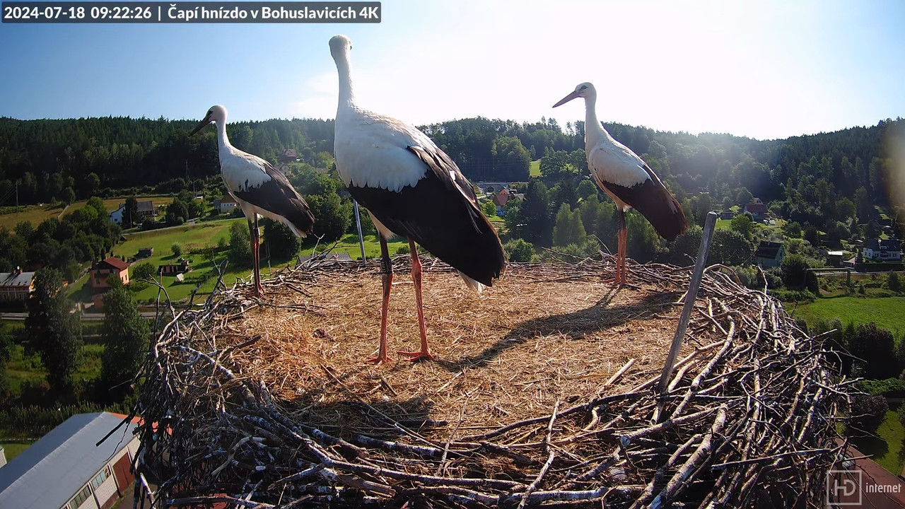 Tiešraidē no uzņēmuma KARA stārķa skursteņa Bohuslavicē pie Trutnovas 9-18-15 screenshot