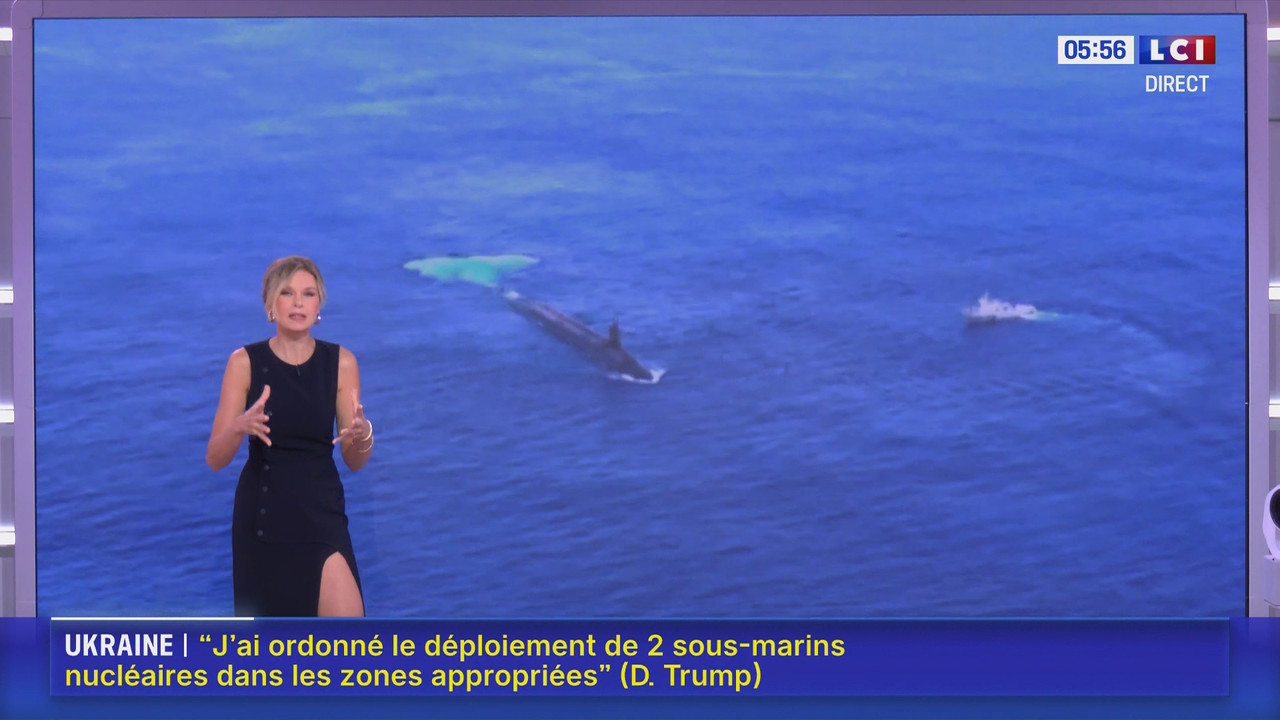 08.02 - 05.00.00 - La Matinale du week-end. Tous les week-ends sur LC....ts_snapshot_00.01.37.543