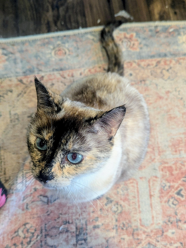 PXL 20260126 155656107 2