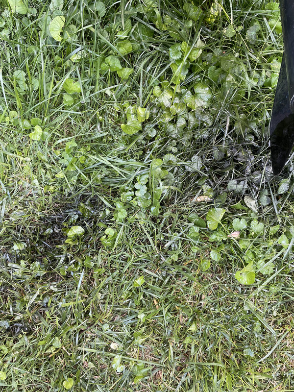 70873470891__191B5820-2705-4800-A24E-79FBBDEF0978