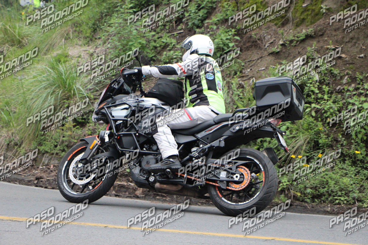 IMG 3233 wm 1834437 5 watermarked — Postimages