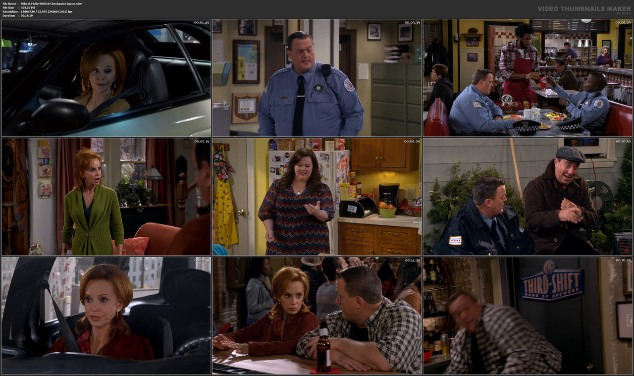 Mike & Molly S05E10 Checkpoint Joyce.mkv