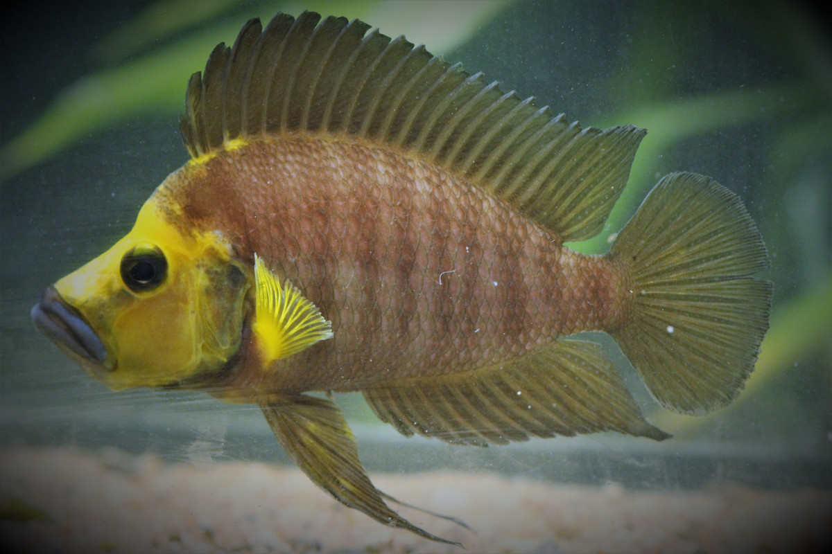 IMG_4770 - Copie (3)