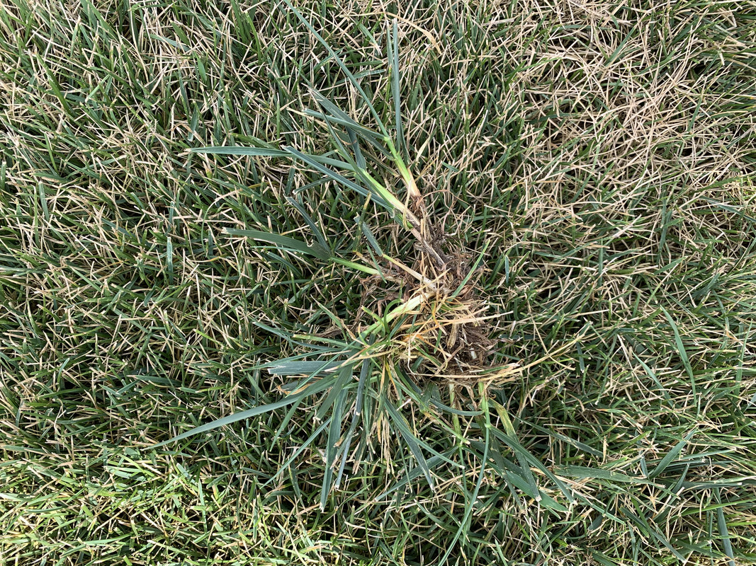 1A4D5CAE-487F-44A6-B771-1E9B0B08C3A7