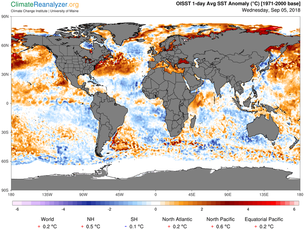 gfs_world-ced_sstanom_1-day