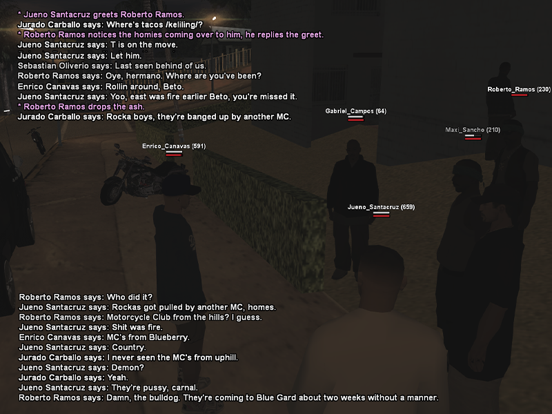 SS1.png